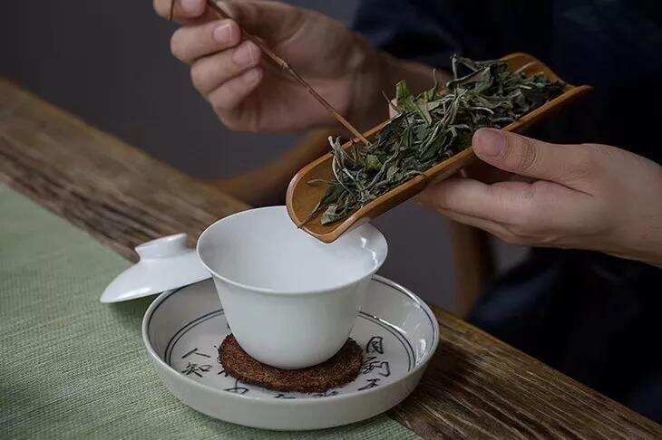 秋白茶大盘点！我们平常说的秋白茶指的是哪些茶？