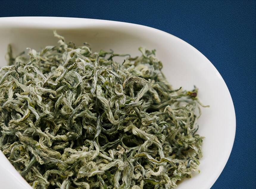 贵州茶未来可期，一个把毛主席吸引住的茶：都匀毛尖