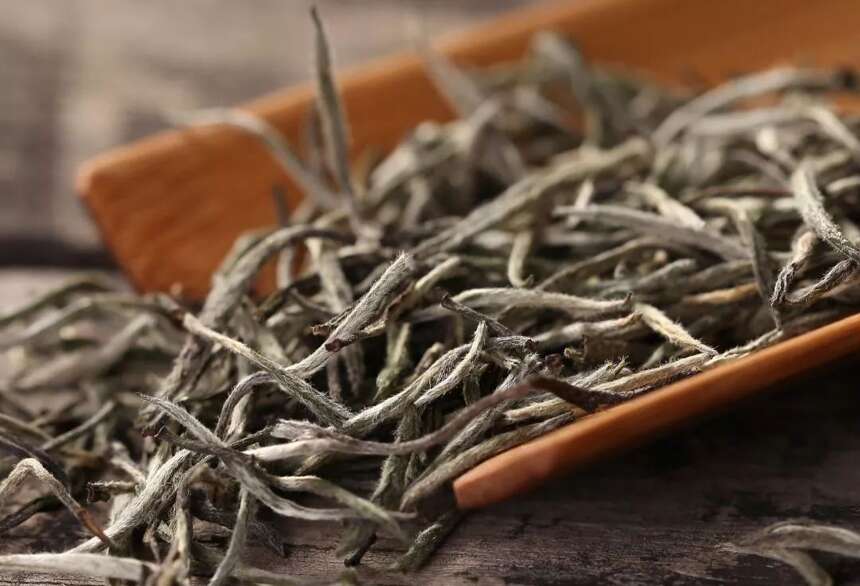 怎样的白茶才有传承的价值，可为传家之宝？