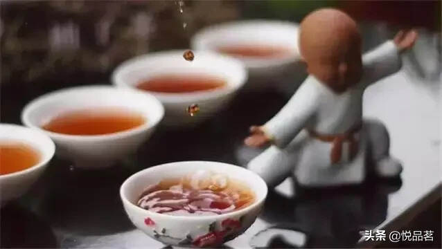 中国农业科学院研究员：饮茶一分钟，解渴饮茶一辈子，长寿