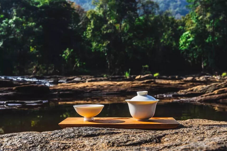 白茶有“青味”是正常的吗?看白茶、普洱茶、绿茶客分别怎么说！