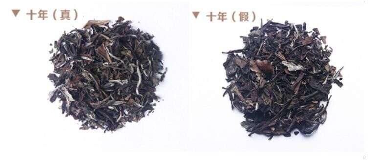 福鼎白茶一斤多少钱正常？做旧白茶，泡着喝不行，能煮着喝吗？