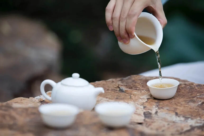 四个步骤，教你切实判断一款白茶的含水量！
