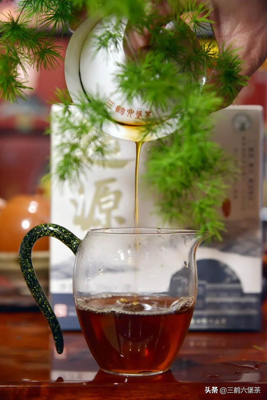 三鹤六堡茶「起源」品鉴评测