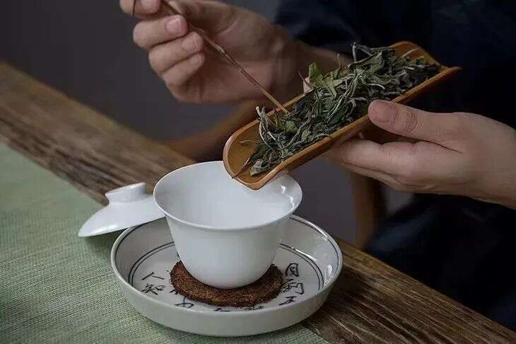 关于白茶的“行话”，你知道多少？