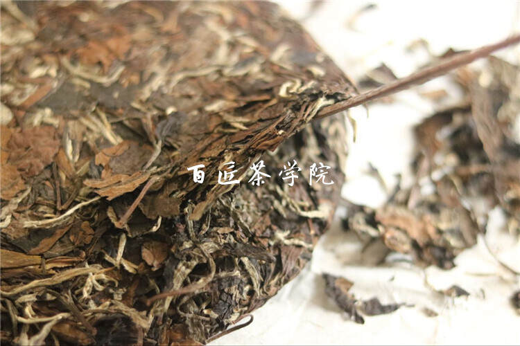 白茶储存 | 每一片来自福鼎高山的古法手工茶都值得被用心呵护