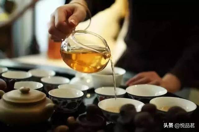 茗茶五泡，每一泡都是不同的滋味，从馥郁到清香，迎接了茶的一生