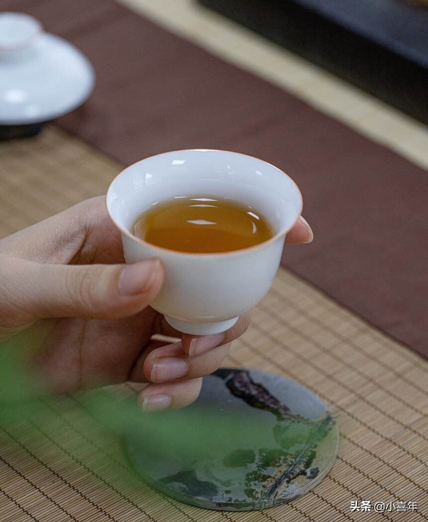 茶科普｜普洱茶的群体种和无性系品种，你会选哪一个？
