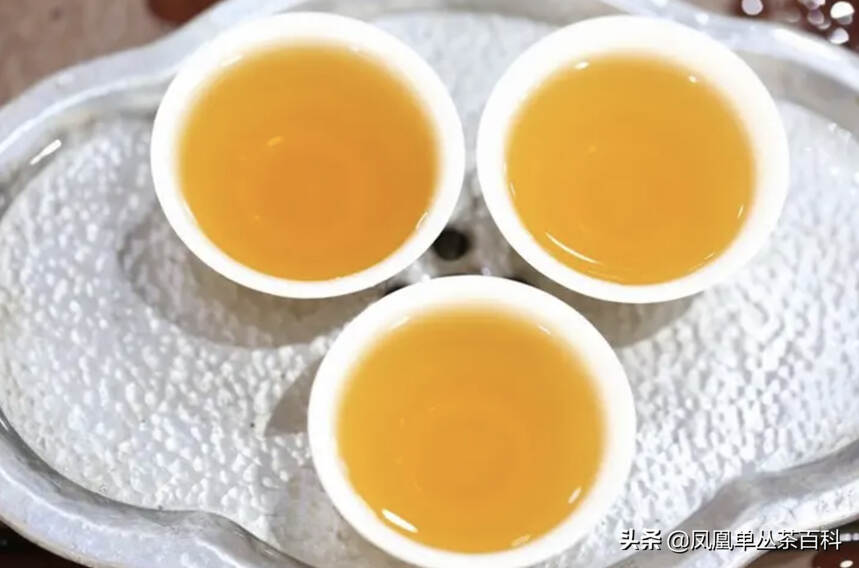 凤凰单丛茶，性温还是性寒？