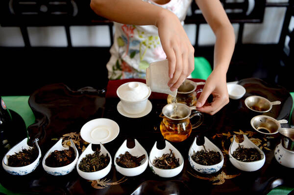 不同季节的普洱茶品质特点