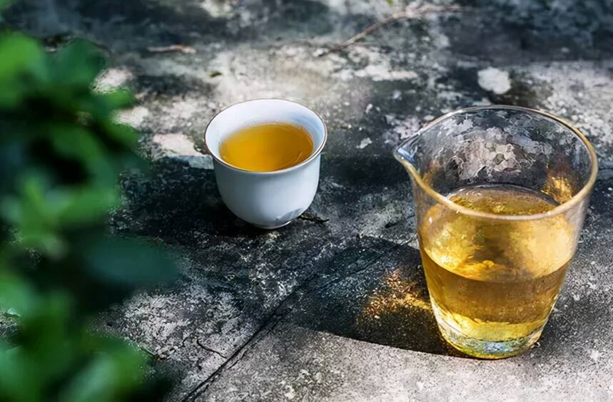 低价白茶后面藏着3个秘密：平地茶、劣质茶、外地茶