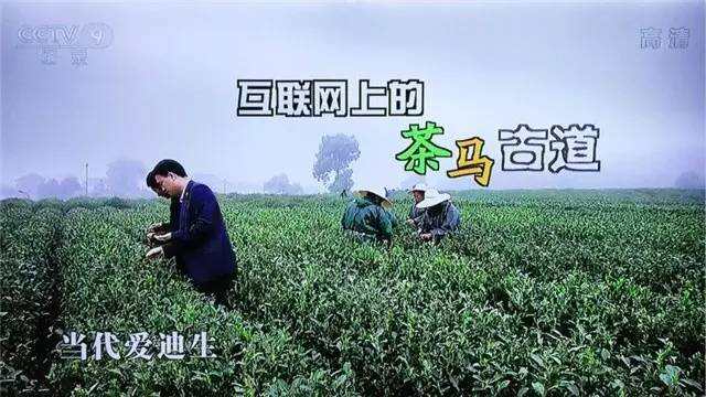 艺福堂入围CCTV中国品牌榜，9年创业见证中国茶业品牌崛起