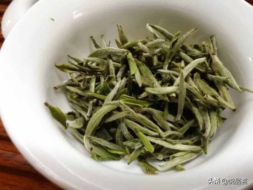 高山福鼎白茶就是赢在茶青内质丰富，你知道怎么选购吗？