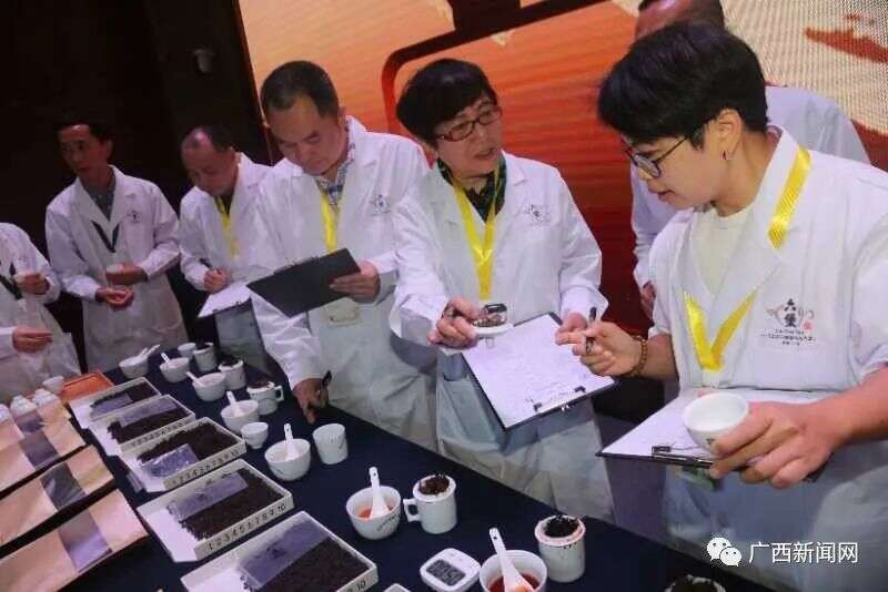 中国（广西）六堡茶斗茶大赛开幕，289个茶样大比拼，速来围观