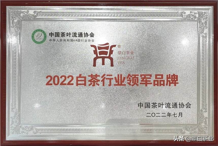 从领先到领军！鼎白茶业荣膺“2022白茶行业领军品牌”