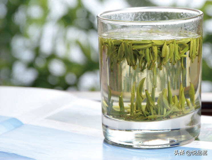 竹叶青绿茶可以放进冰箱里面保存吗？可以放多长时间？