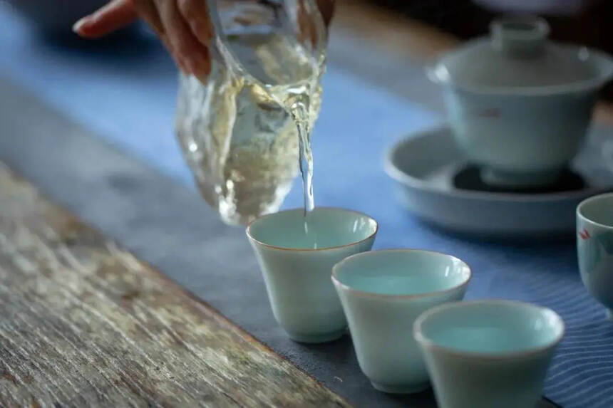 回甘、生津、醇厚，关于白茶的专业术语，你知道几个？