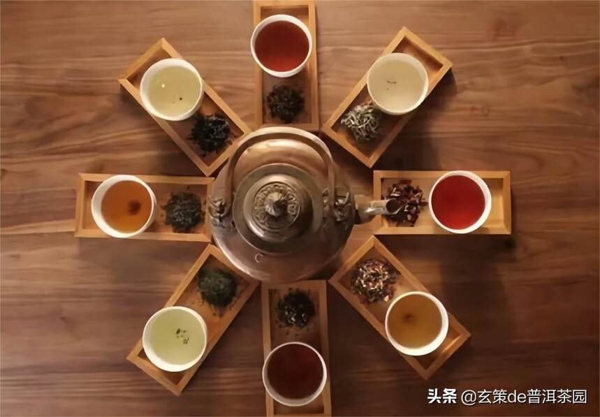 茶知识｜茶叶的香气从何而来？
