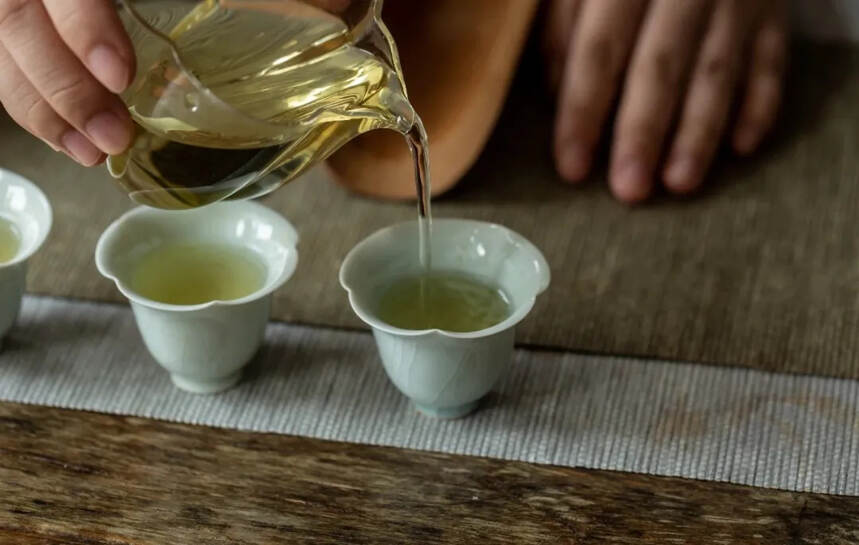 仲春月、万杏初荣，从两方面为大家简单介绍荒野白茶