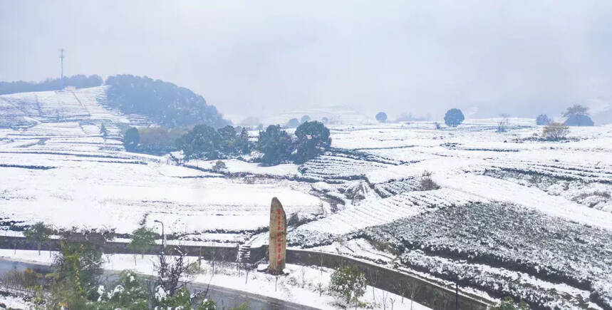 下雪的杭州，这个地方的雪景美过西湖！