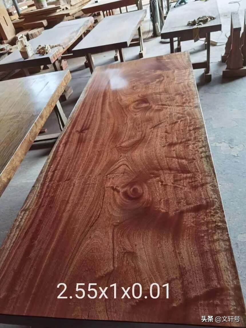 一棵大树能切出几块大板桌