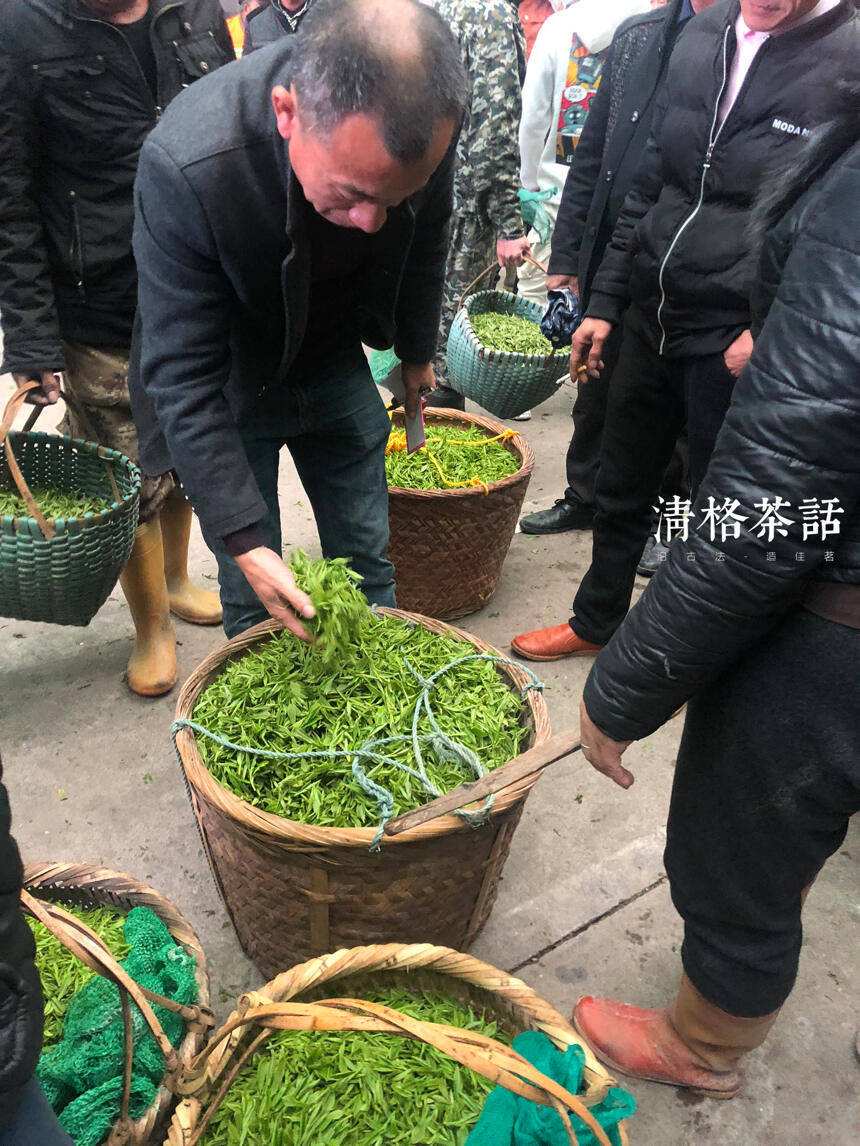 2019年福鼎白茶开茶节下攒动的茶人们