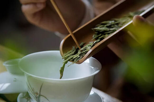 陆羽茶交所分享丨要泡出绿茶的真滋味，这些细节不可少