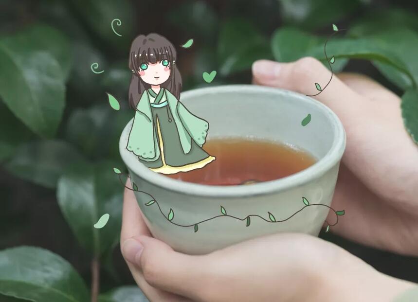 普洱茶保健功能与物质基础