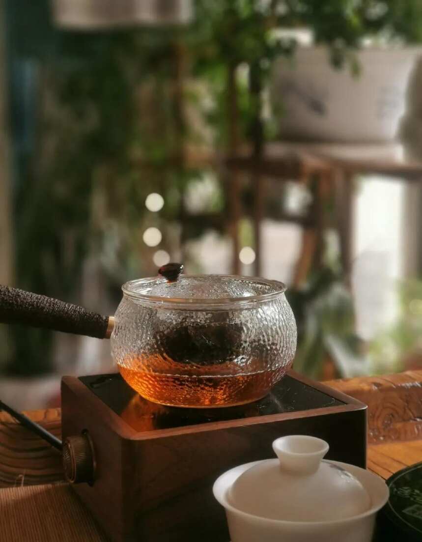 老白茶属于什么茶？谁最适合喝？