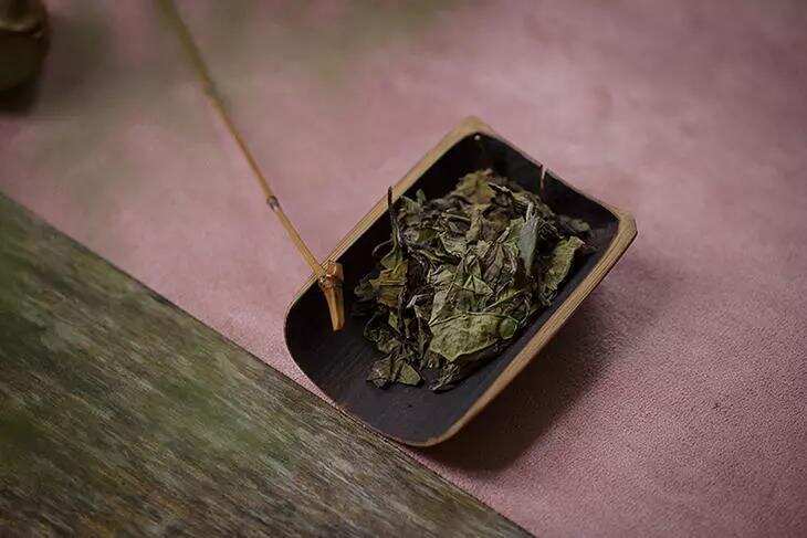 扫盲篇：新工艺白茶与传统白茶的差别在哪？