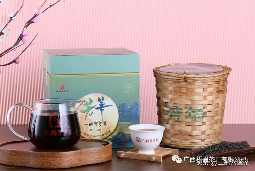 「芳华」六堡茶新品上市 | 茶韵流芳，青春年华