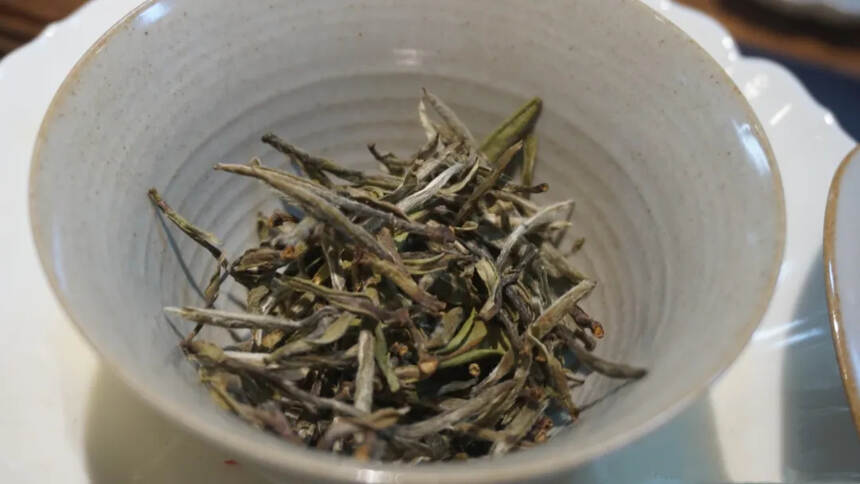 2020下半年，白茶市场前景如何？存白茶能保增值吗？