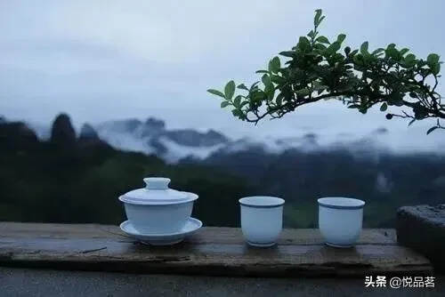 人生沉浮，如一盏茶水，懂茶之人，必懂人生