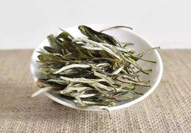 福鼎白茶丨陈化半年的白牡丹，在香气与汤水上，有哪些特别之处？
