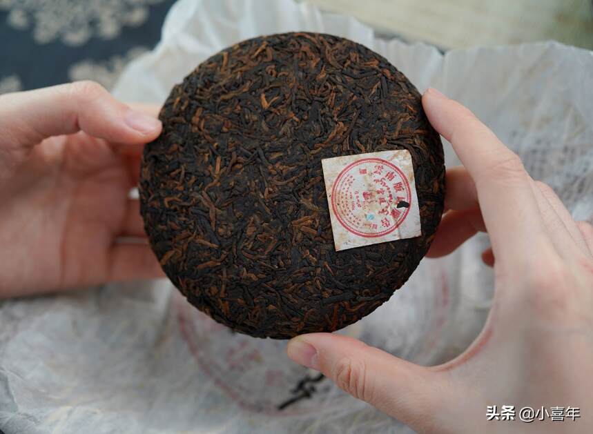 何仕华景迈“宫廷”熟普的鲜叶，为何是普洱茶原料的“天花板”？