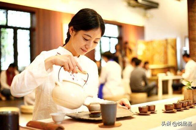 高山福鼎白茶就是赢在茶青内质丰富，你知道怎么选购吗？