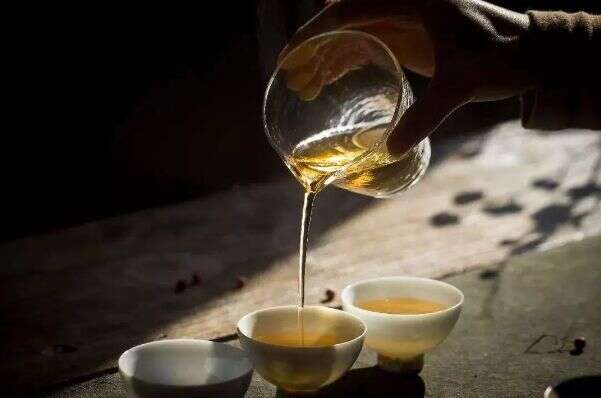 秋季养生之道丨为何90%的养生达人都选择喝福鼎白茶？