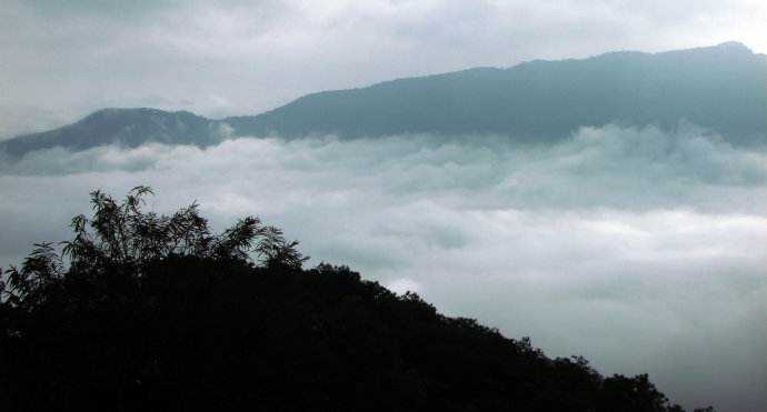 临沧茶区最具代表性的几大茶山及其特点