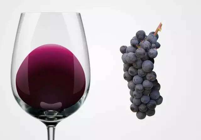单宁|葡萄酒解析