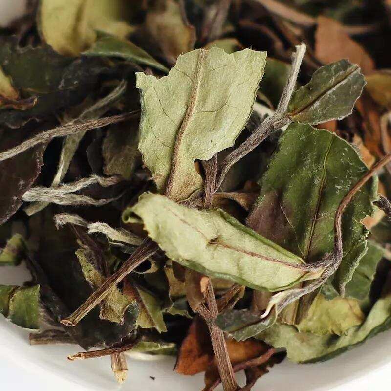 茶友收藏的福鼎老白茶叶片特别容易破碎，是品质不好吗？