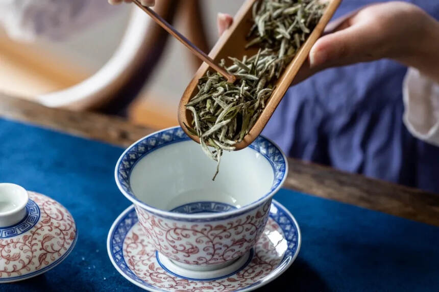 细数福鼎白茶当中的那些节气茶，你都喝过哪些？