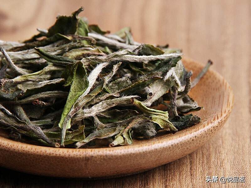 老白茶属于什么茶类？老白茶属于红茶还是绿茶？