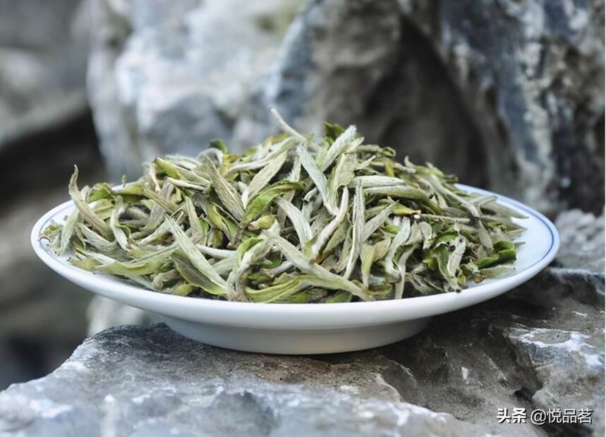 冲泡白牡丹的茶具有很多，哪种茶具泡福鼎白牡丹茶好喝呢？