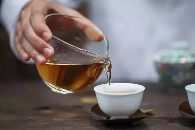 十问十答秒懂福鼎白茶，白茶新手建议收藏