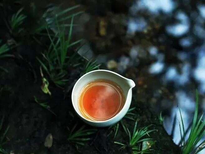 放了 5 年多的红茶还能喝吗？茶叶有越陈越香的说法么？