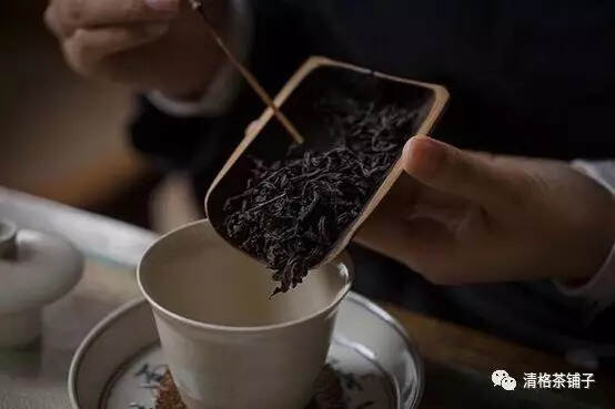 “石乳”留香记-武夷岩茶