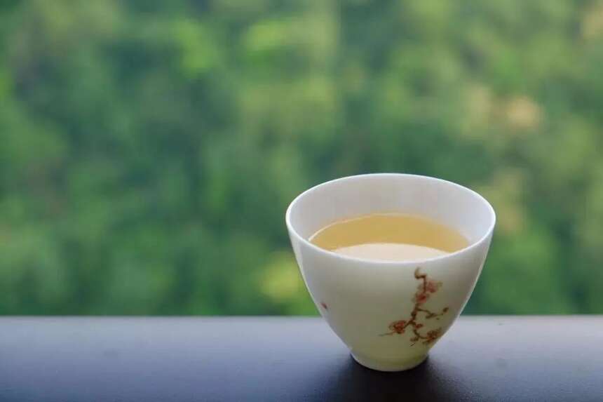 一杯白茶的营养究竟有多高？耐心看完，给你一个喝茶的理由