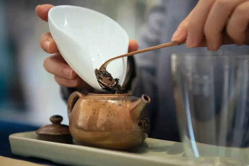 品质优的福鼎白茶，应该拥有怎样的汤感和叶底？