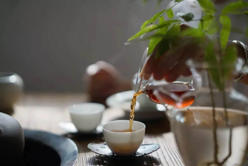 清风徐来，秋将至，乌龙茶、白茶、普洱茶，秋天该喝哪款茶？