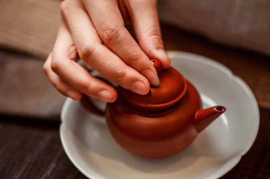 福鼎白茶只会喝，不会闻香？茶叶里的香气秘密，你可知道？